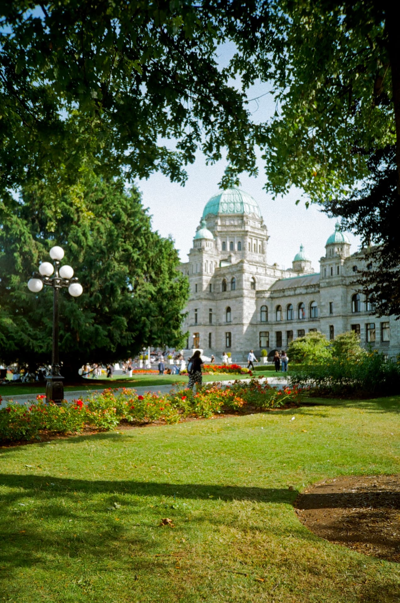 Domed legislature building framed by trees and flower beds