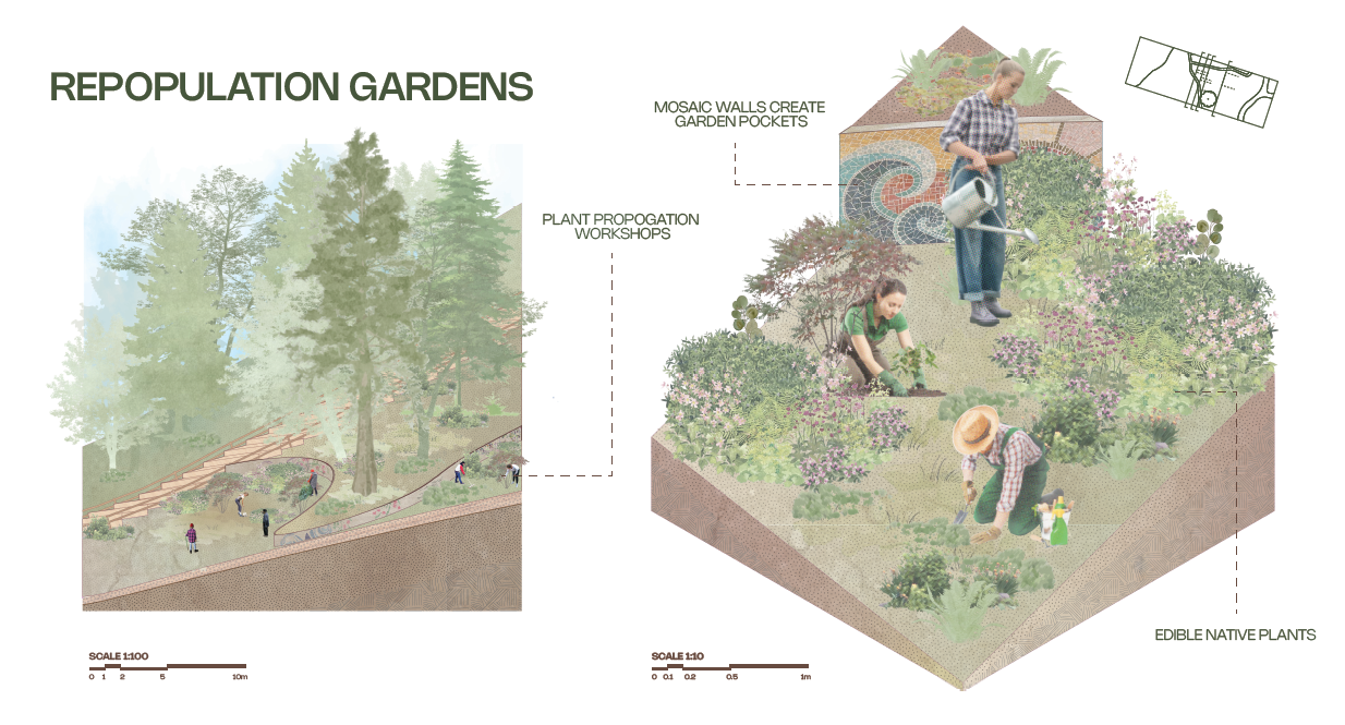 Repopulation gardens isometric and plant propagation workshop study