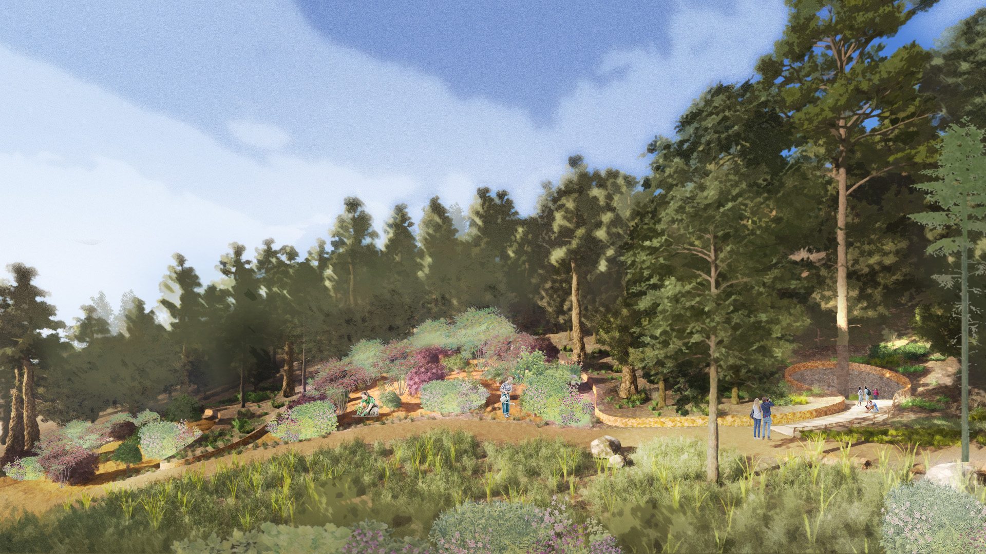 Panorama perspective of the reforestation pathway