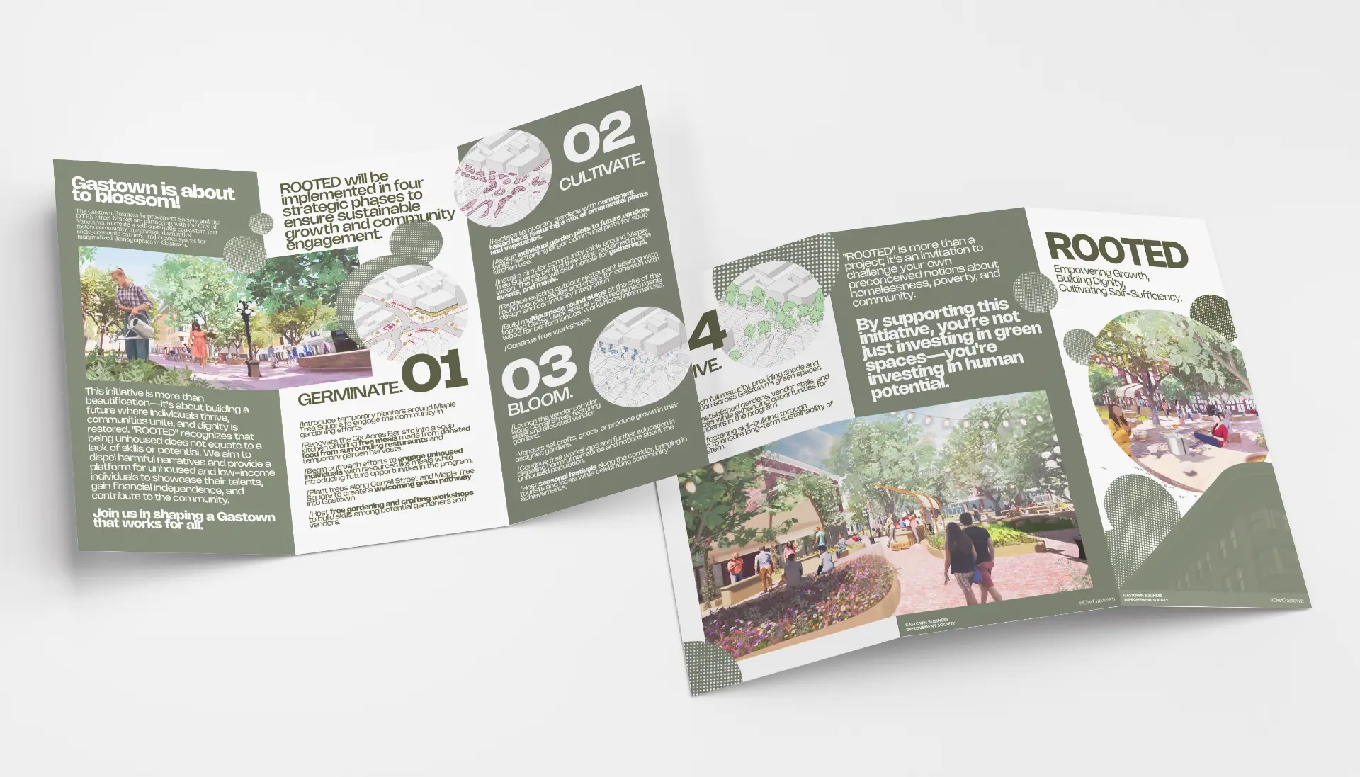 Trifold Rooted pamphlet mockup showing the phasing spread and cover panel