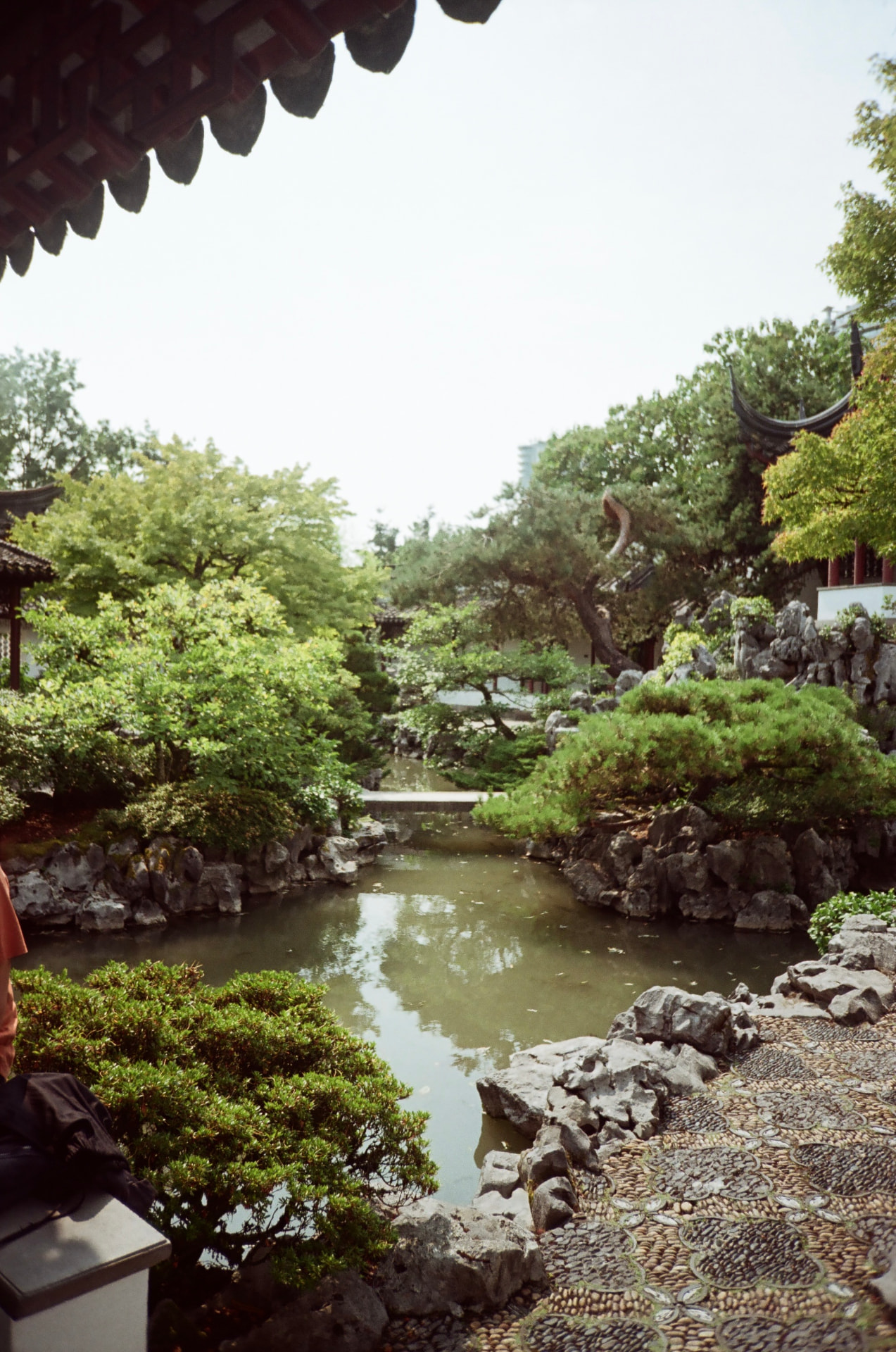 Classical Chinese garden courtyard with pond and rockwork
