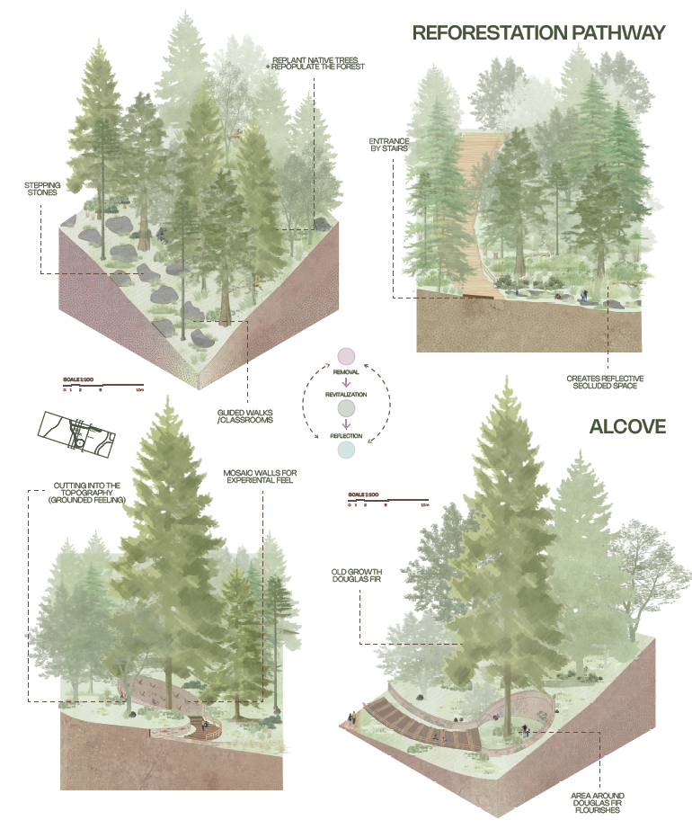 Reforestation pathway and alcove isometrics showing stepping stones, guided walks, mosaic walls, and the old growth Douglas fir