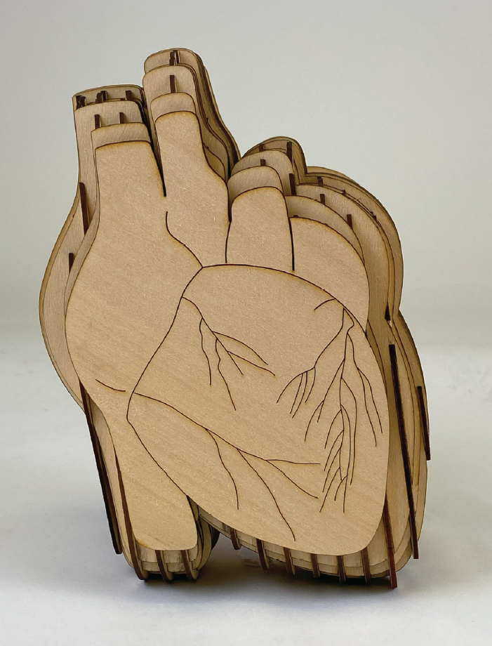 Top view of Heart Hub model showing etched details