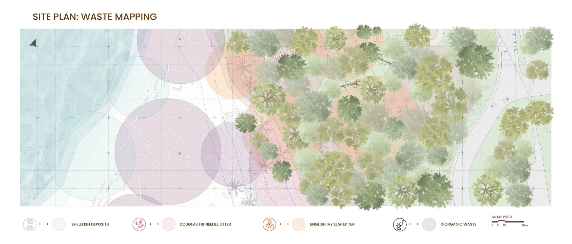 Site plan at 1:500 mapping shellfish deposits, Douglas fir needle litter, English ivy leaf litter, and inorganic waste