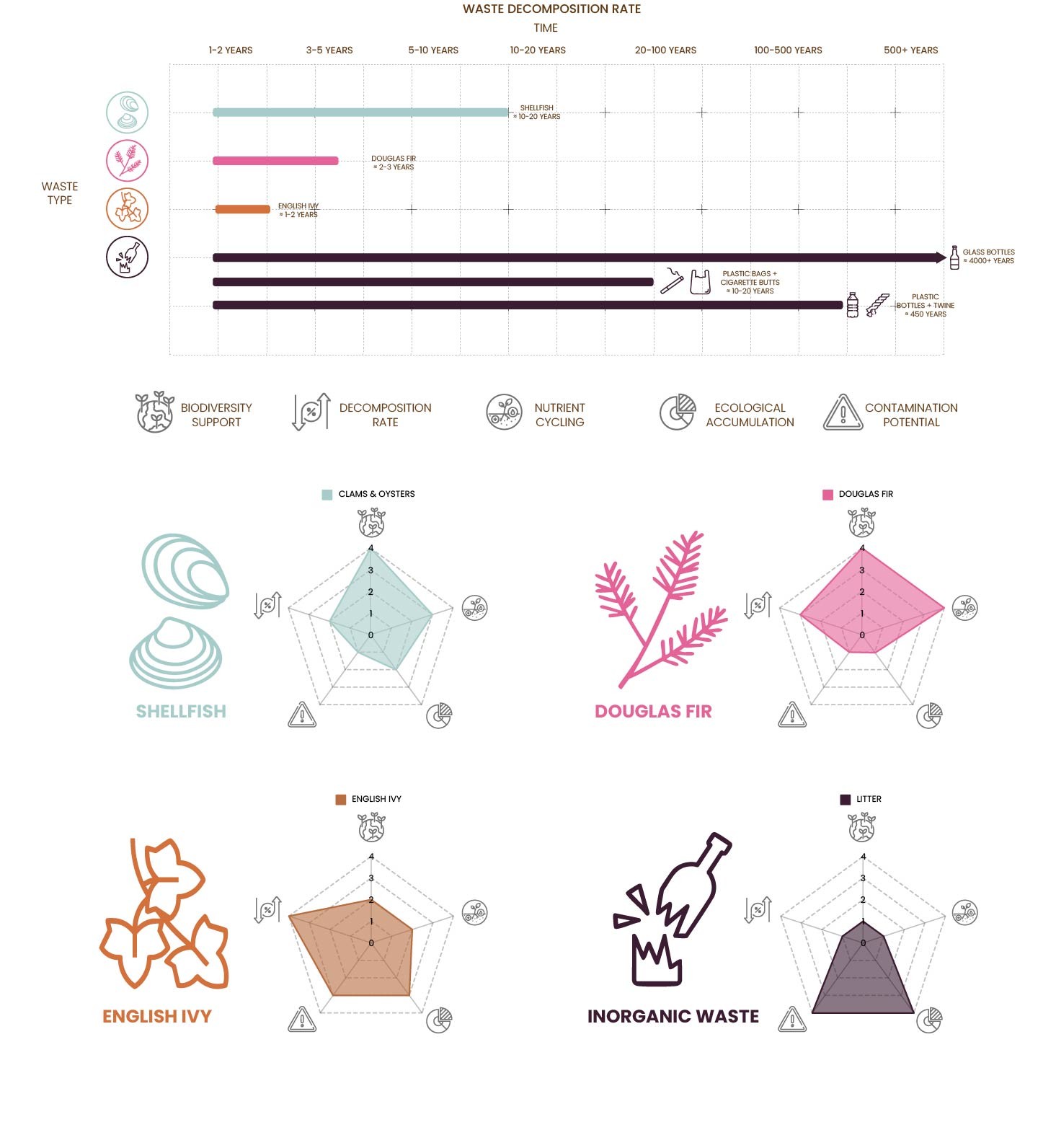Material analysis with waste decomposition rate timeline and radar charts for shellfish, Douglas fir, English ivy, and litter